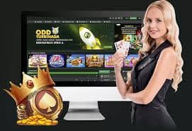 Tampilan permainan kasino live dealer dengan grafik menarik